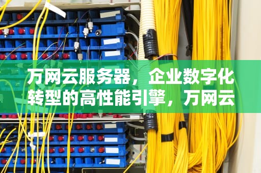 万网云服务器，企业数字化转型的高性能引擎，万网云服务器怎么样