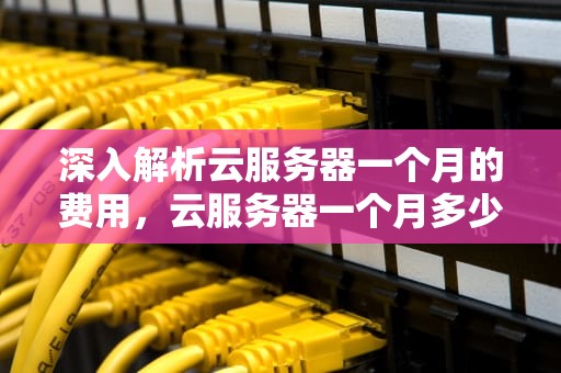 深入解析云服务器一个月的费用，云服务器一个月多少钱?