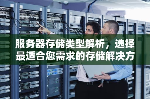 服务器存储类型解析，选择最适合您需求的存储解决方案，服务器存储类型有哪些