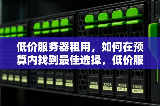 低价服务器租用，如何在预算内找到最佳选择，低价服务器租用多少钱