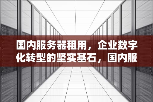 国内服务器租用，企业数字化转型的坚实基石，国内服务器租用哪家好