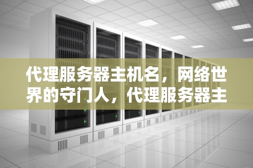 代理服务器主机名，网络世界的守门人，代理服务器主机名和端口填什么