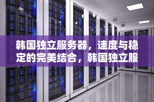 韩国独立服务器，速度与稳定的完美结合，韩国独立服务器价格表2023