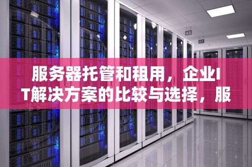 服务器托管和租用，企业IT解决方案的比较与选择，服务器托管和租用区别