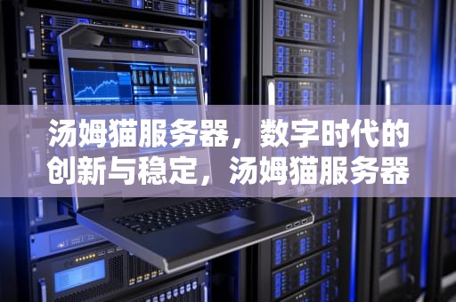 汤姆猫服务器，数字时代的创新与稳定，汤姆猫服务器配置