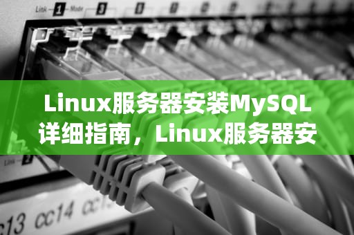 Linux服务器安装MySQL详细指南，Linux服务器安装MySQL
