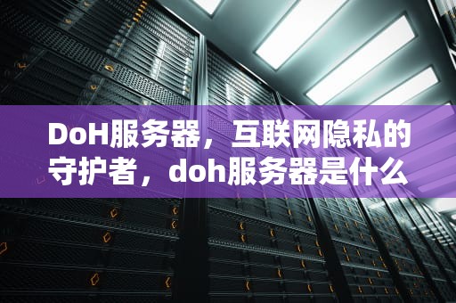 DoH服务器，互联网隐私的守护者，doh服务器是什么