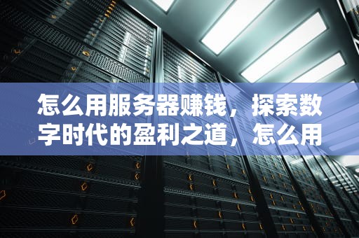 怎么用服务器赚钱，探索数字时代的盈利之道，怎么用服务器赚钱最快