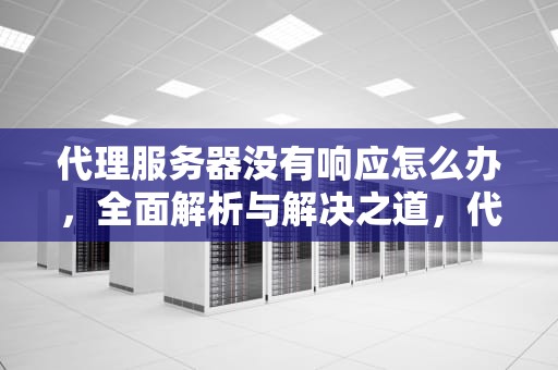 代理服务器没有响应怎么办，全面解析与解决之道，代理服务器没有响应怎么办win10