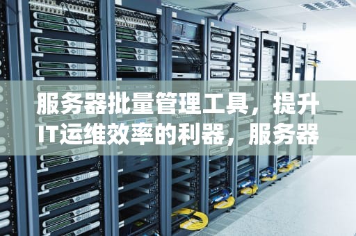 服务器批量管理工具，提升IT运维效率的利器，服务器批量管理工具超级vps管理器