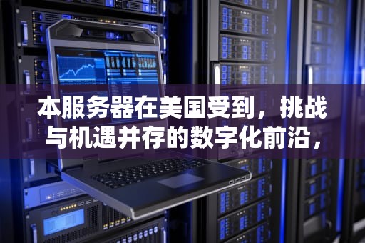 本服务器在美国受到，挑战与机遇并存的数字化前沿，本服务器在美国受到法律保护