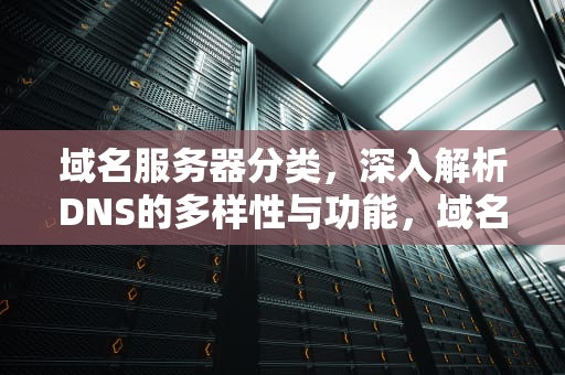 域名服务器分类，深入解析DNS的多样性与功能，域名服务器分类的主要有