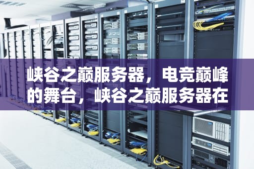 峡谷之巅服务器，电竞巅峰的舞台，峡谷之巅服务器在哪个城市