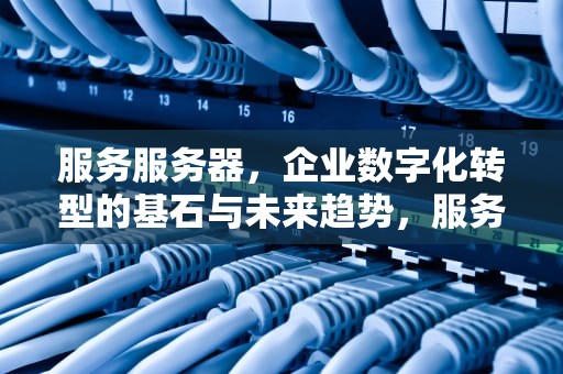 服务服务器，企业数字化转型的基石与未来趋势，服务服务器租赁