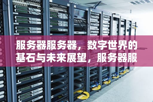 服务器服务器，数字世界的基石与未来展望，服务器服务器分什么级别