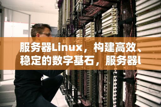 服务器Linux，构建高效、稳定的数字基石，服务器linux和windows哪个好