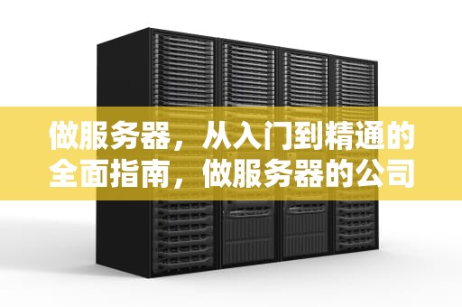 做服务器，从入门到精通的全面指南，做服务器的公司排名