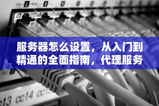 服务器怎么设置，从入门到精通的全面指南，代理服务器怎么设置