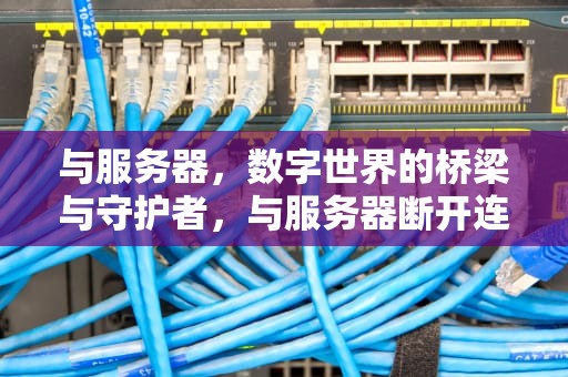 与服务器，数字世界的桥梁与守护者，与服务器断开连接是什么意思