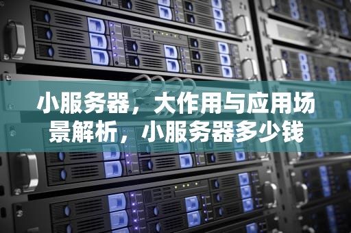 小服务器，大作用与应用场景解析，小服务器多少钱