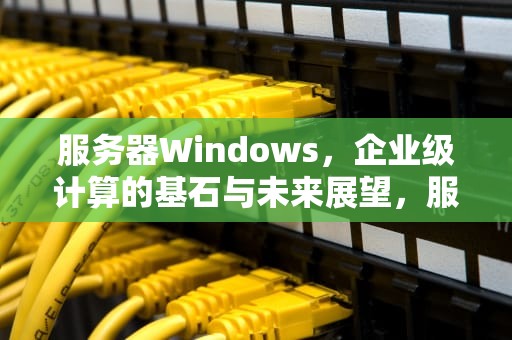 服务器Windows，企业级计算的基石与未来展望，服务器windows server