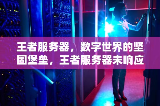 王者服务器，数字世界的坚固堡垒，王者服务器未响应怎么解决