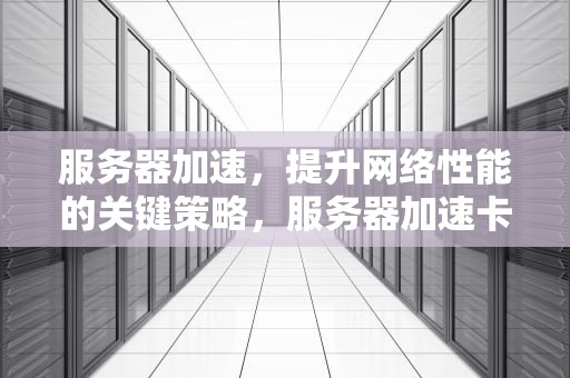 服务器加速，提升网络性能的关键策略，服务器加速卡是什么