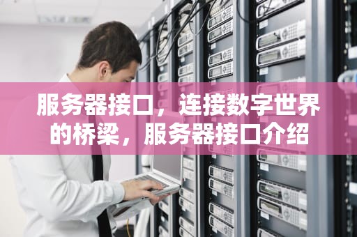 服务器接口，连接数字世界的桥梁，服务器接口介绍