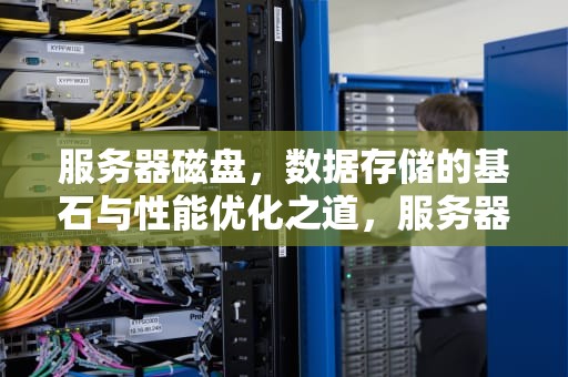 服务器磁盘，数据存储的基石与性能优化之道，服务器磁盘空间满了该如何处理