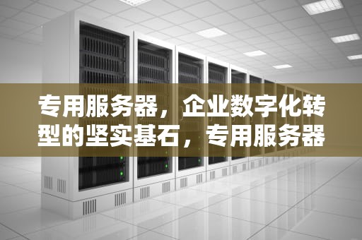 专用服务器，企业数字化转型的坚实基石，专用服务器无法启动饥荒