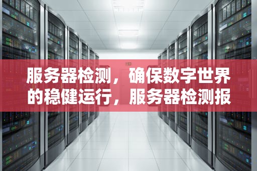 服务器检测，确保数字世界的稳健运行，服务器检测报告