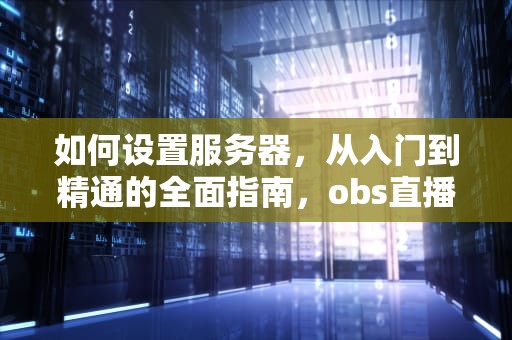 如何设置服务器，从入门到精通的全面指南，obs直播推流如何设置服务器