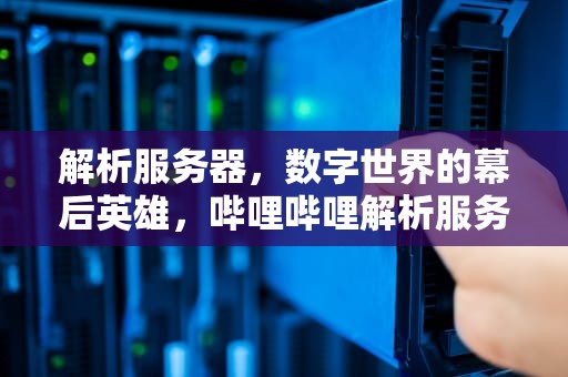 解析服务器，数字世界的幕后英雄，哔哩哔哩解析服务器