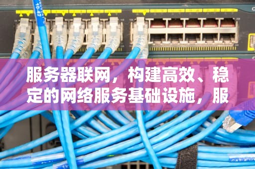 服务器联网，构建高效、稳定的网络服务基础设施，服务器联网怎么连不上