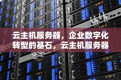 云主机服务器，企业数字化转型的基石，云主机服务器租用