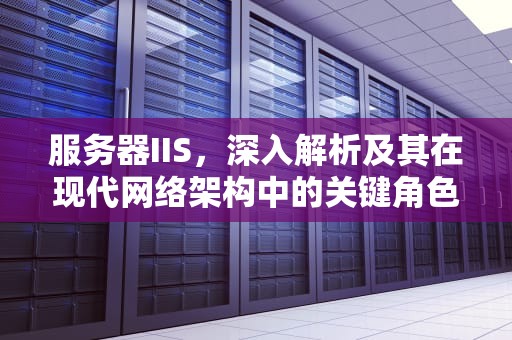 服务器IIS，深入解析及其在现代网络架构中的关键角色，服务器iis的作用