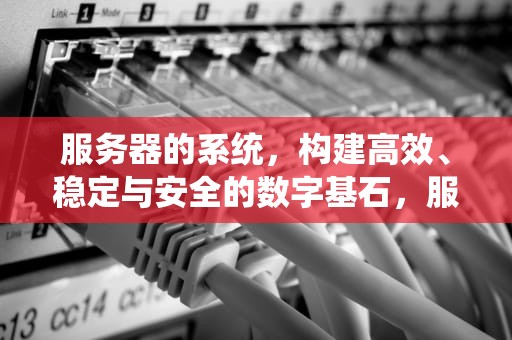 服务器的系统，构建高效、稳定与安全的数字基石，服务器的系统盘和数据盘的作用