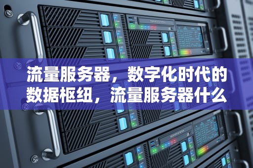 流量服务器，数字化时代的数据枢纽，流量服务器什么意思