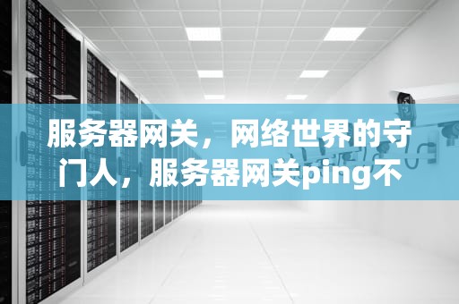 服务器网关，网络世界的守门人，服务器网关ping不通的原因