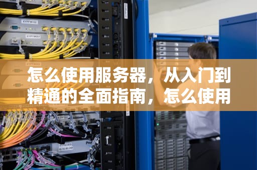 怎么使用服务器，从入门到精通的全面指南，怎么使用服务器跑代码