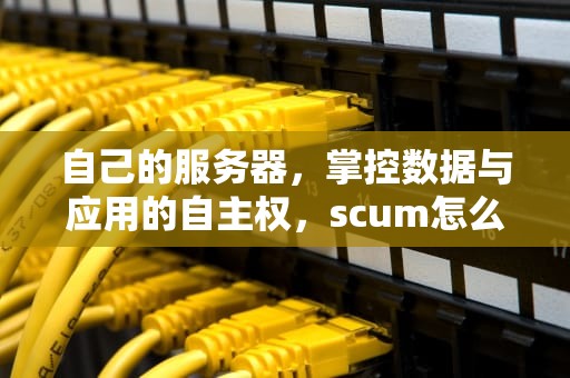自己的服务器，掌控数据与应用的自主权，scum怎么创建自己的服务器