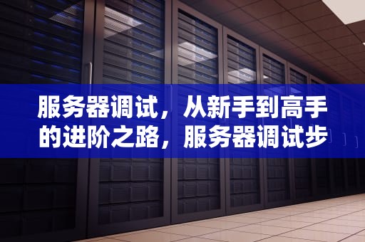 服务器调试，从新手到高手的进阶之路，服务器调试步骤