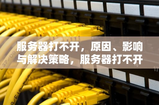 服务器打不开，原因、影响与解决策略，服务器打不开是什么原因