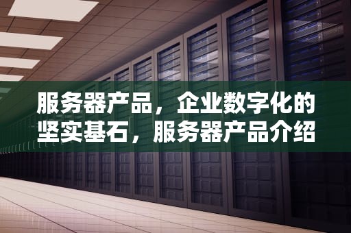 服务器产品，企业数字化的坚实基石，服务器产品介绍