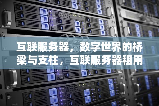 互联服务器，数字世界的桥梁与支柱，互联服务器租用