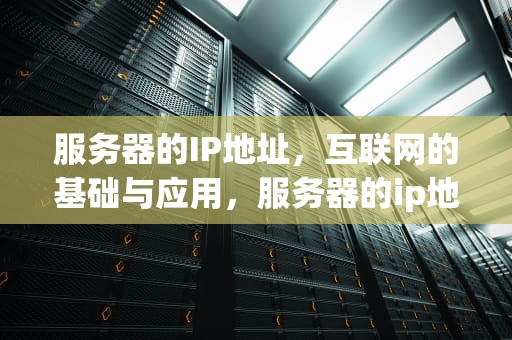 服务器的IP地址，互联网的基础与应用，服务器的ip地址怎么查询