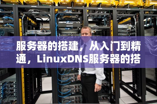 服务器的搭建，从入门到精通，LinuxDNS服务器的搭建