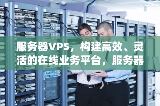 服务器VPS，构建高效、灵活的在线业务平台，服务器vps什么意思