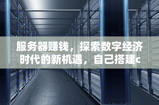 服务器赚钱，探索数字经济时代的新机遇，自己搭建cdn服务器赚钱