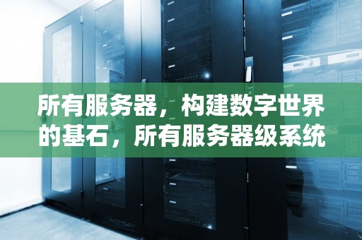 所有服务器，构建数字世界的基石，所有服务器级系统信息存储于哪个数据库